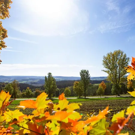 Апартаменты Im Erzgebirge Gruenhain-Beierfeld