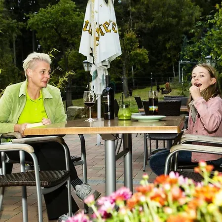 Im Erzgebirge Apartment