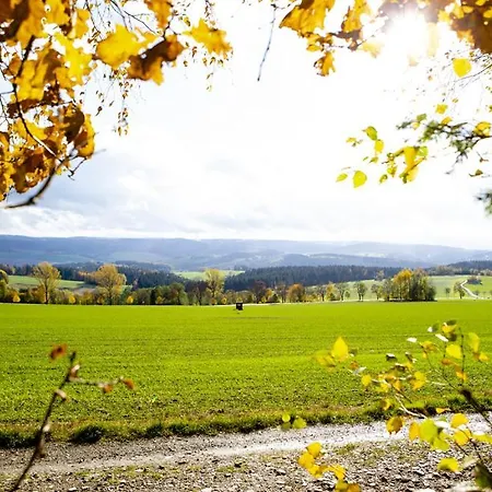 Im Erzgebirge *