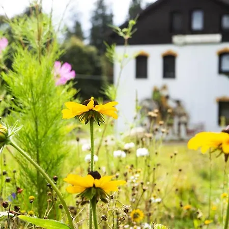 Im Erzgebirge Apartment