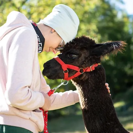 Im Erzgebirge Apartment *