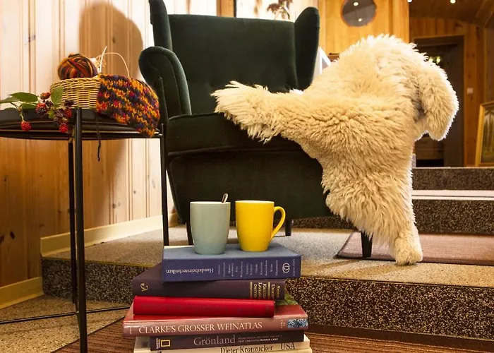 Im Erzgebirge Beierfeld