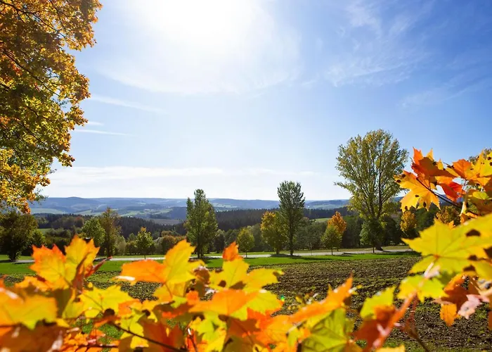 شقة Im Erzgebirge Beierfeld