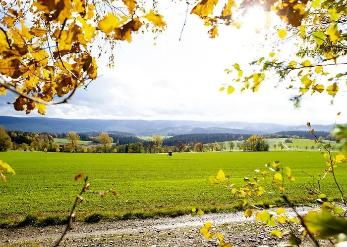 Im Erzgebirge *