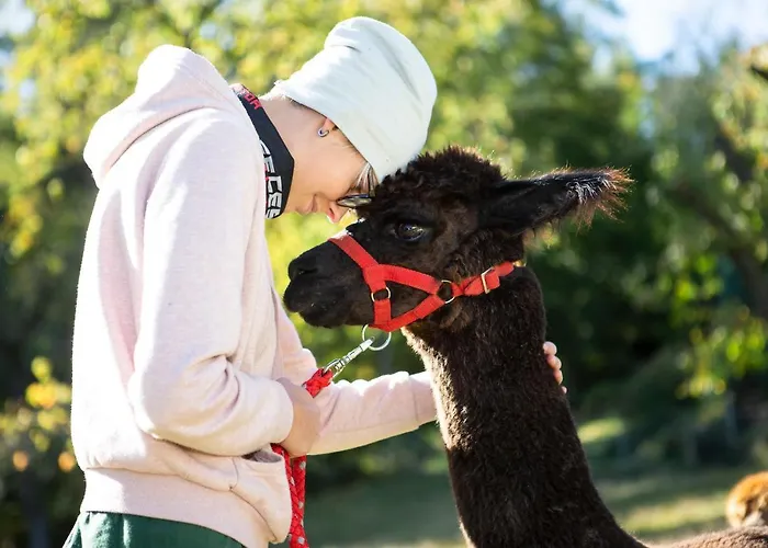 Im Erzgebirge شقة *