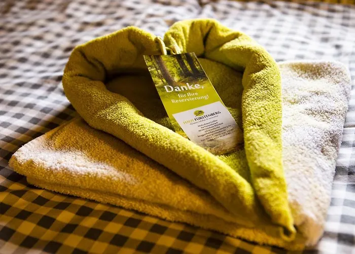 Im Erzgebirge شقة *